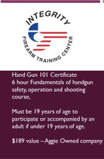 Handgun 101 Safety Class - 1 for $10